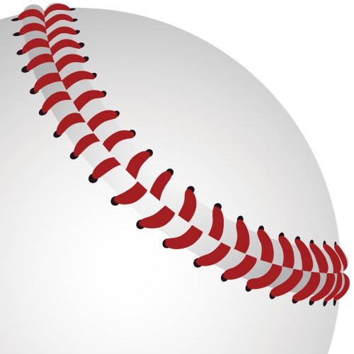 baseball closeup vector image