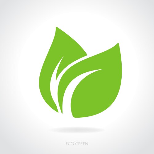 Eco green leaf concept vector image