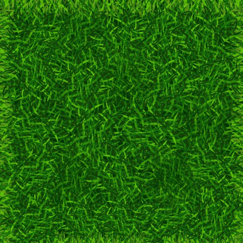 Green grass field banner football place background vector image