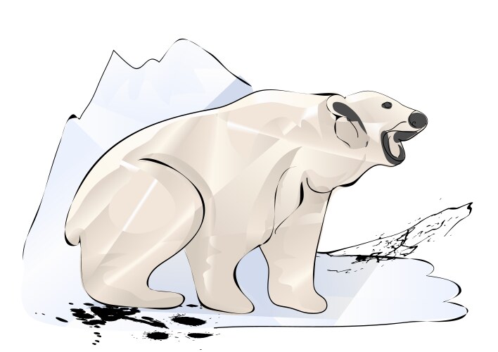 Polar bear and ice vector image