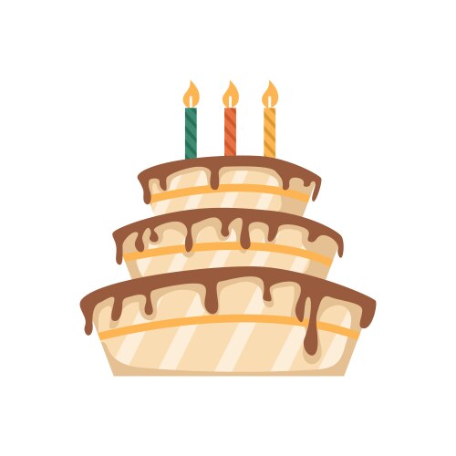 Birthday cake with chocolate and candles vector image