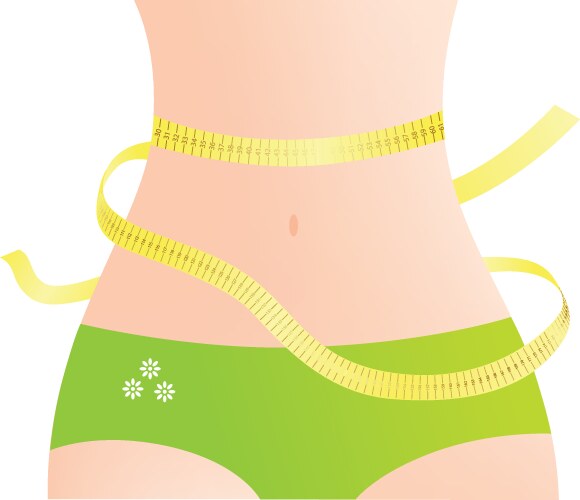 Waist measurement vector image