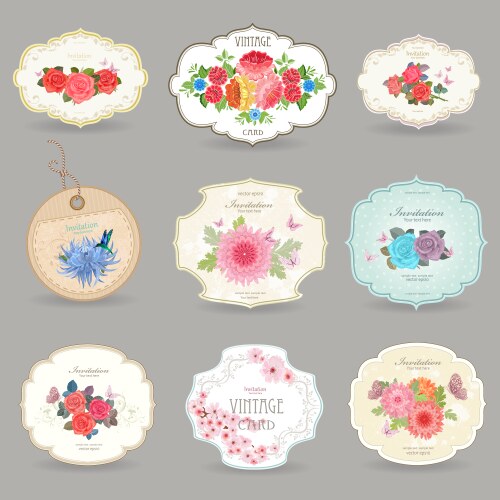 Romantic collection retro label with graceful vector image