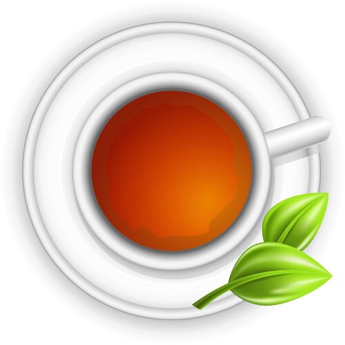 Tea time vector image