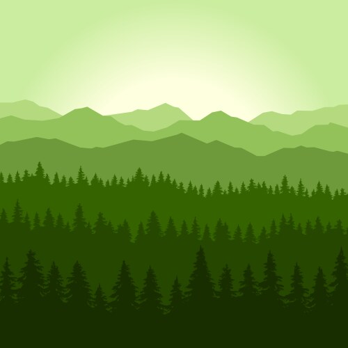 Green fog coniferous forest and mountains vector image