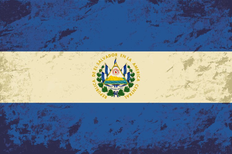 El salvador flag grunge background vector image