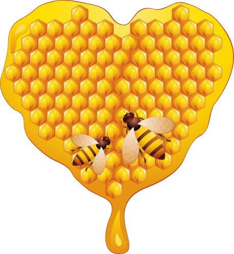 Honey vector image