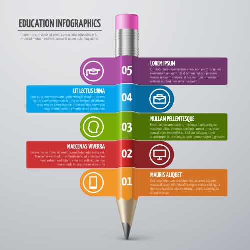 Business learning and school education vector image