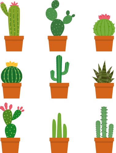 Cactus plant collections set vector image