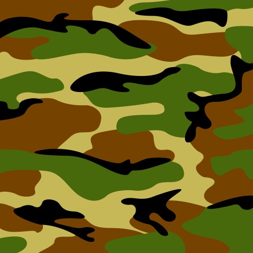 Military camouflage vector image