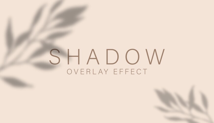 Shadow overlay effect transparent soft light vector image