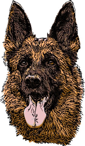 German shepherd dog vector image