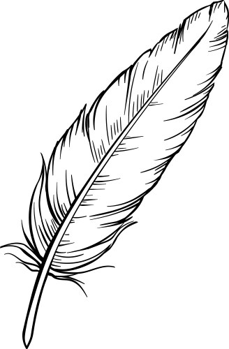 Hand drawn feathers vector image