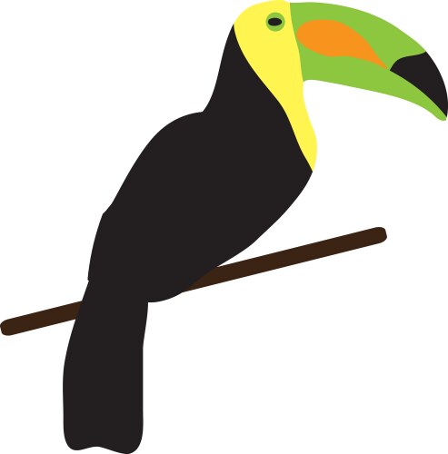 Toucan vector image