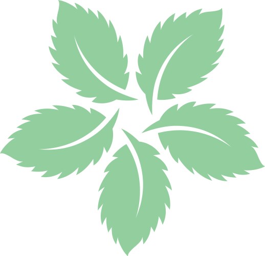 Mint leaves flat icon vector image