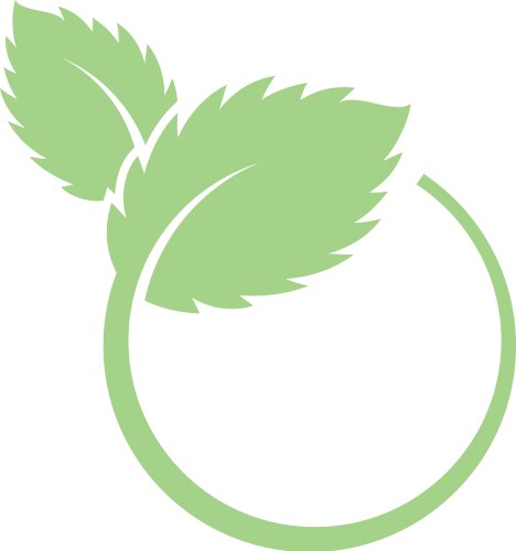 Mint leaves flat icon vector image