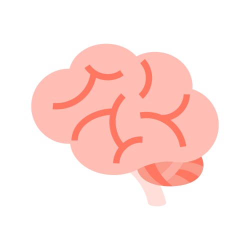 Brain vector image