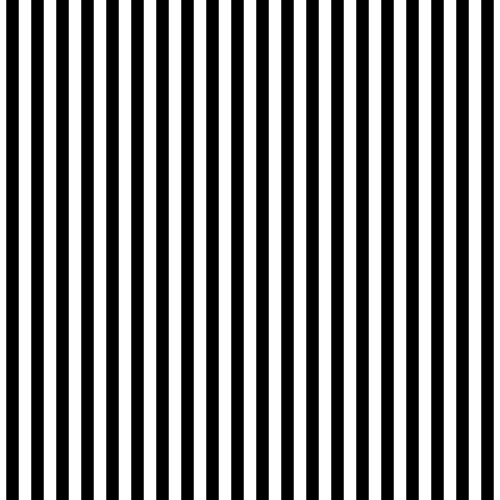 Black and white stripes seamless background vector image