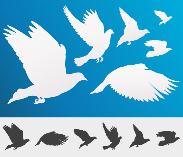 Flying birds silhouette vector image