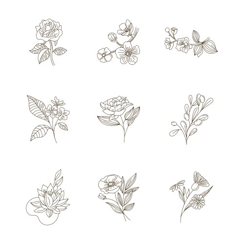 Set of logo design templates - floral in simple vector image