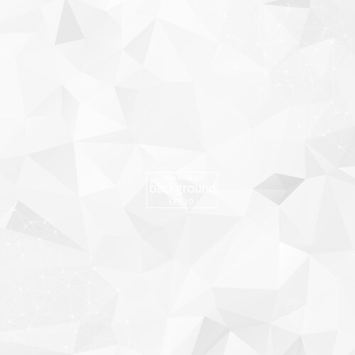 Abstract low poly grey white technology vector image