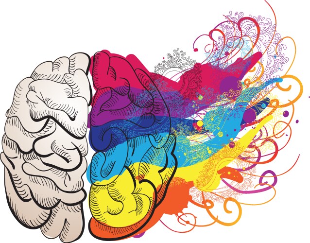 Creativity concept - brain vector image