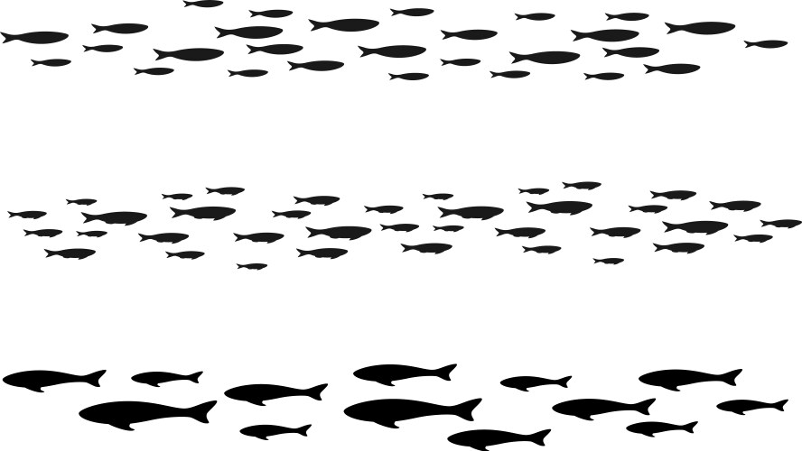 Colony swimming sea or aquarium fishes group vector image