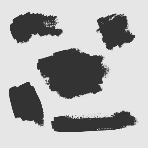 Set of grunge textured brush strokes on a white vector image