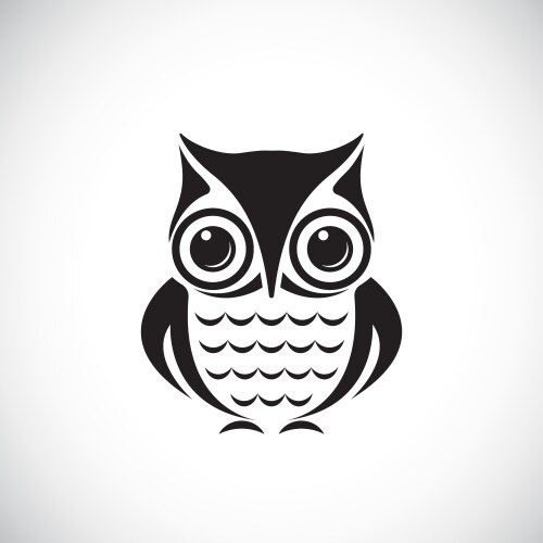 Owl vector image