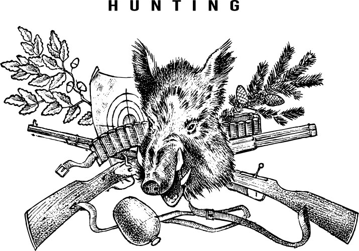 hunting club banner boar and rifle background vector image