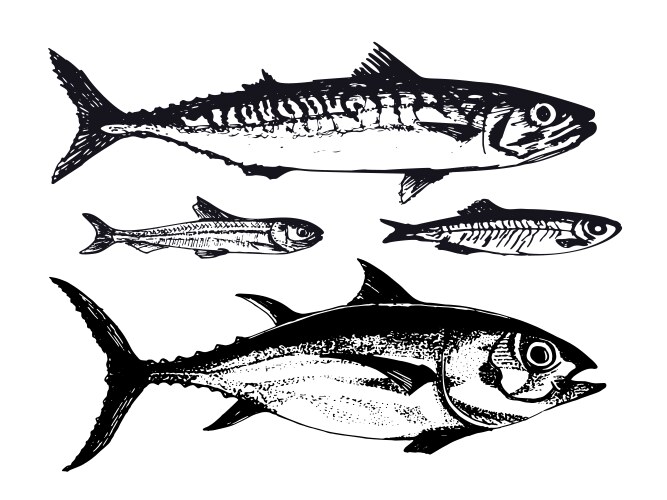 Hand drawn ocean sea fishes vector image