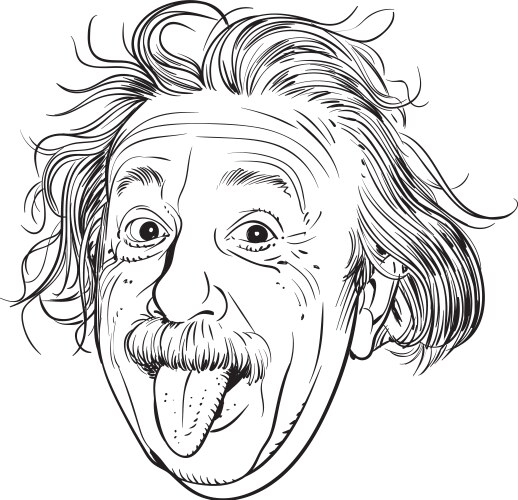 Albert einstein portrait vector image