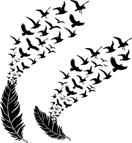 Feathers with flying birds vector image