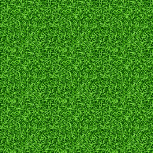 Seamless green grass pattern vector image