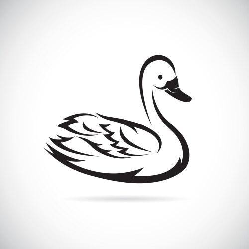 swan vector image