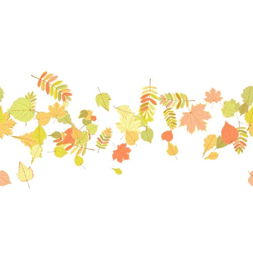 Seamless autumn leaves pattern vector image