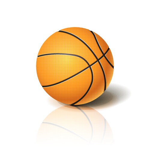 Basketball ball 3d imitation for your business vector image