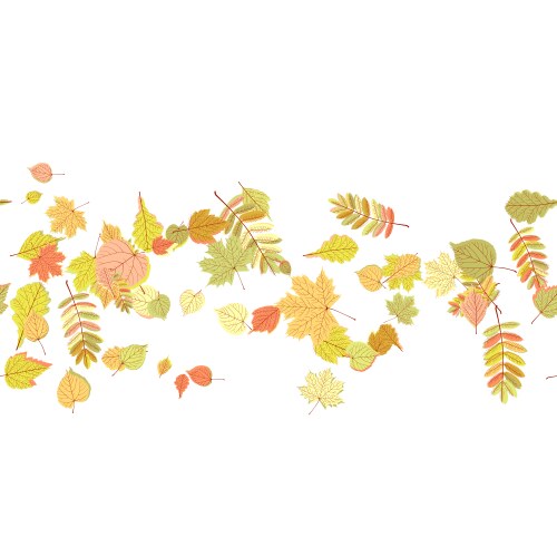 Seamless autumn leaves pattern vector image