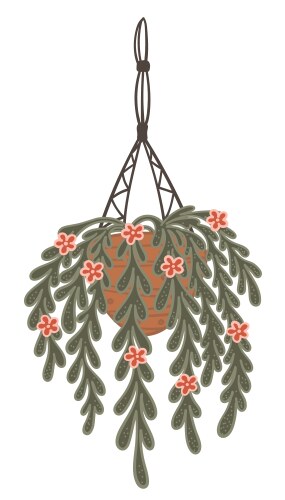 Hanging houseplant in pot and net decor for home vector image