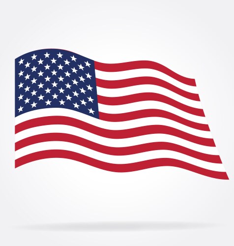 Usa flag flying vector image