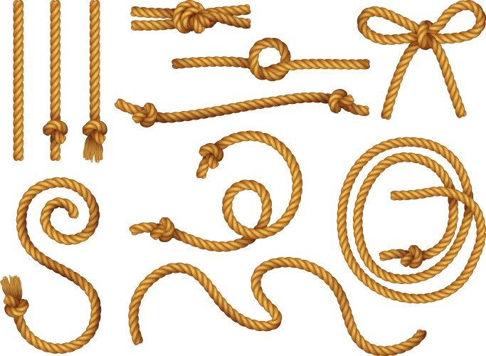 Ropes knots realistic set vector image