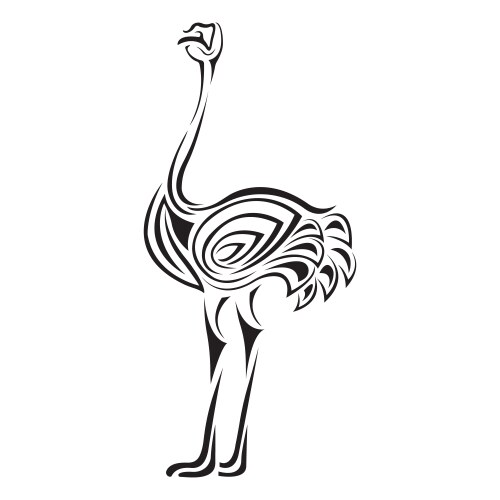 ostrich is drawn in different lines vector image