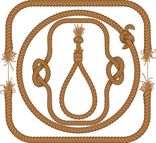 Ropes vector image