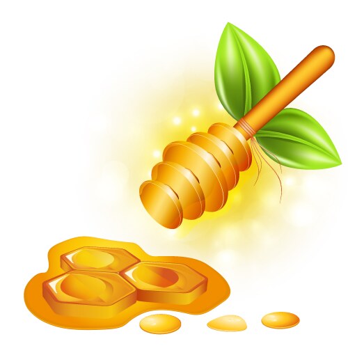 Honey vector image