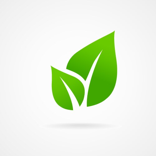 Eco icon green leaf vector image