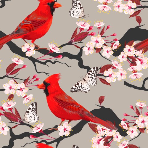 Seamless cardinal and blooming cherry vector image