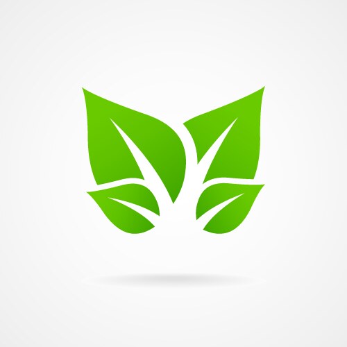 eco icon green leaf vector image