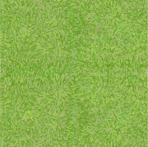 Grass texture vector image