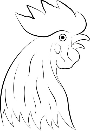 rooster head vector image