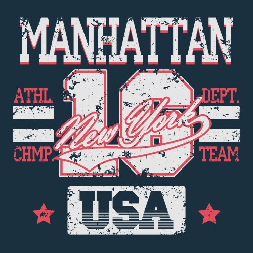 New york sport t-shirt graphics vector image